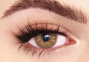 Cyprus Brown - Eyeshare